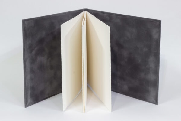 Libro de firmas en terciopelo