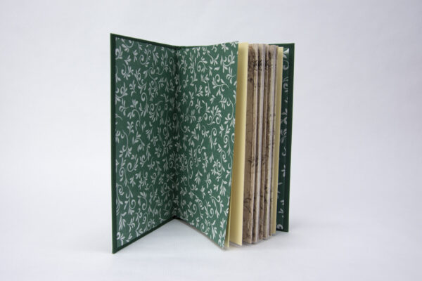 Vista de las guardas del libro con tapas verde